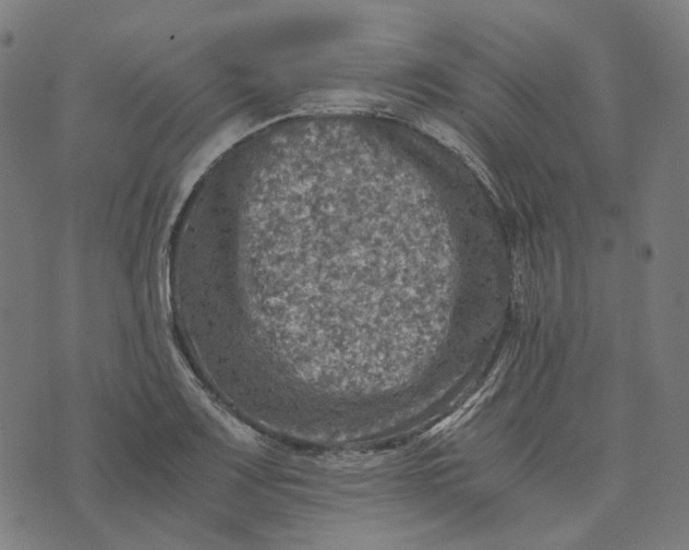 X0000073531083200608211824