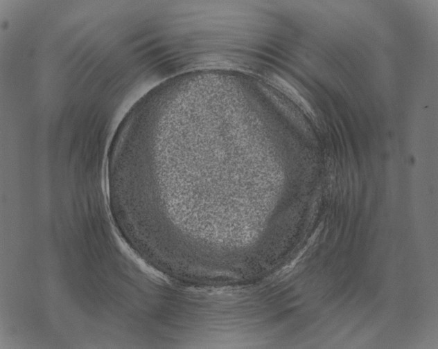 X0000073531084200608211824