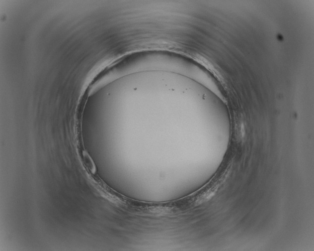 X0000073531085200608211824