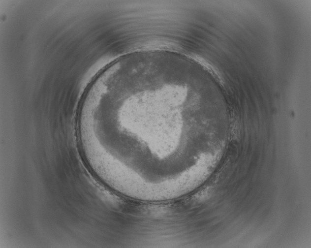 X0000073531086200608211824