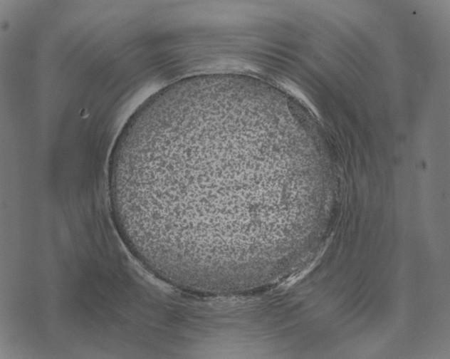 X0000073531087200608211824