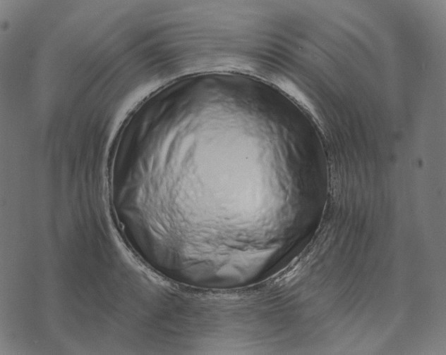 X0000073531088200608211823