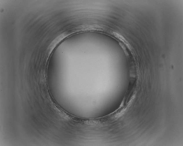 X0000073531089200608211823