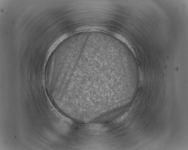 X0000073531090200608211823