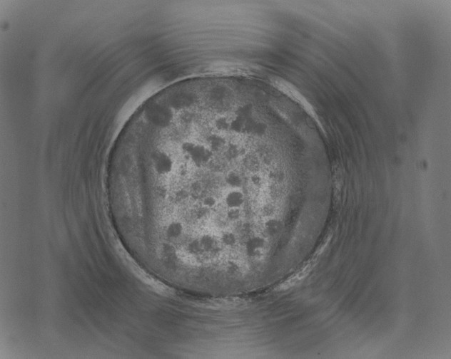 X0000073531091200608211823