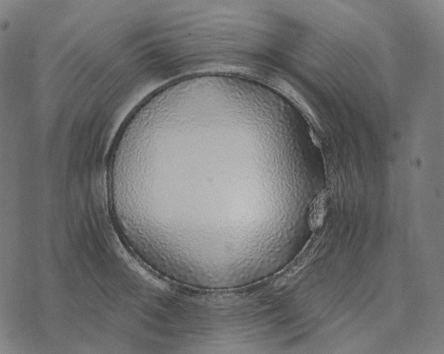 X0000073531092200608211823