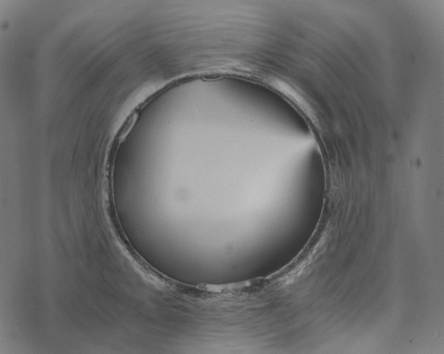 X0000073531093200608211823