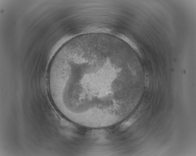 X0000073531094200608211823