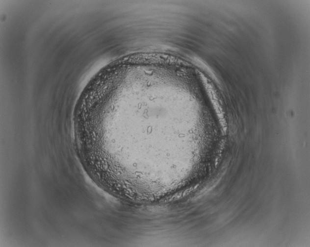 X0000073531095200608211823