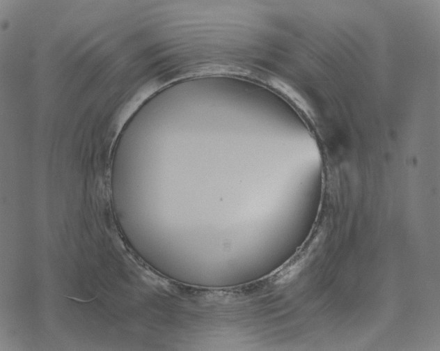 X0000073531097200608211823