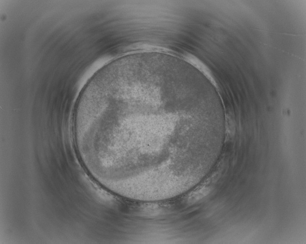 X0000073531098200608211823