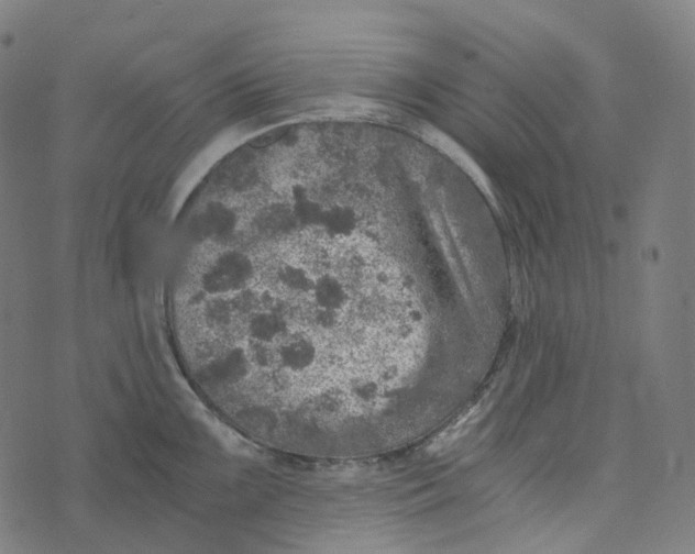 X0000073531099200608211823