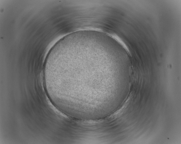 X0000073531100200608211823