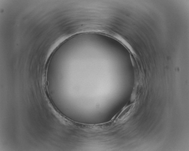 X0000073531101200608211823