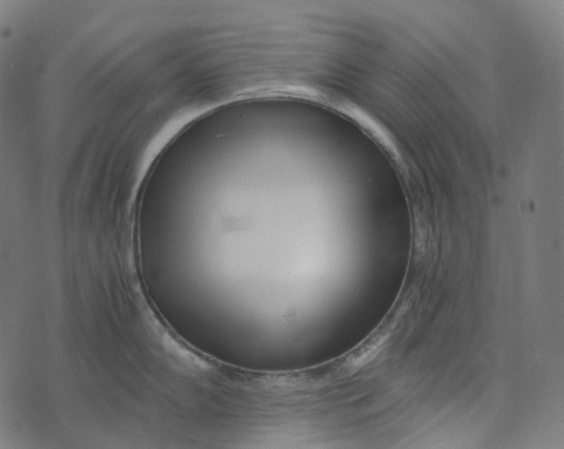 X0000073531102200608211823