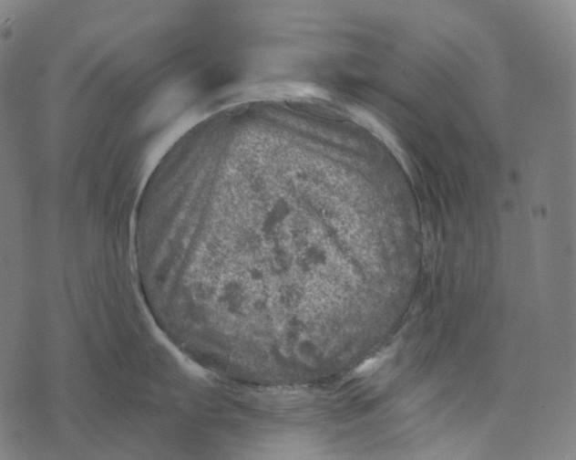 X0000073531103200608211823