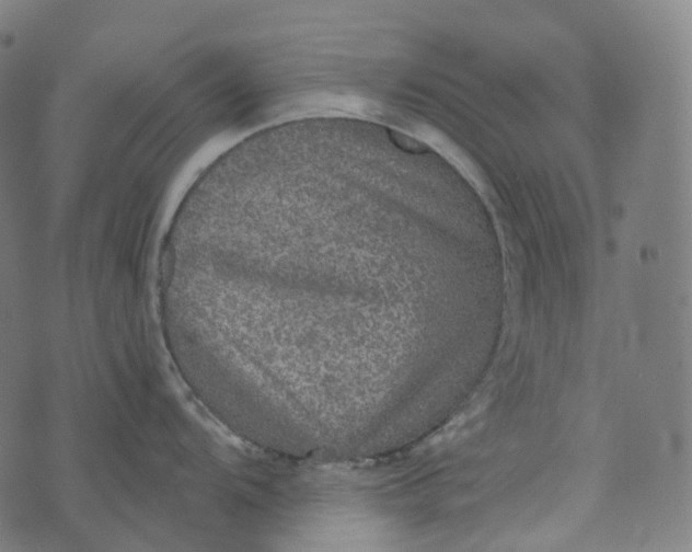 X0000073531104200608211823