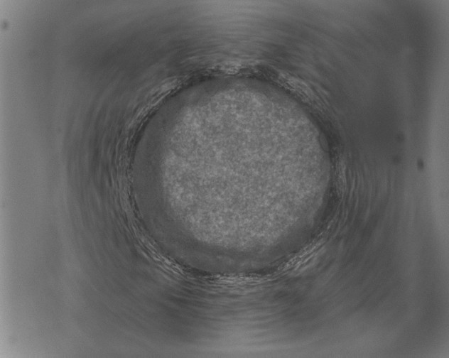 X0000073531105200608211822