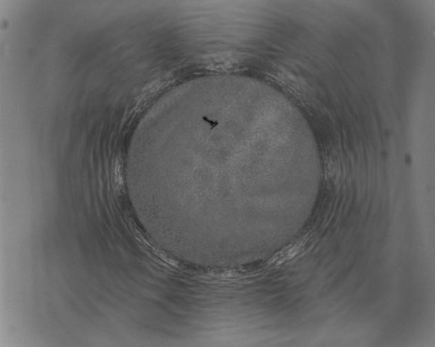 X0000073531106200608211822