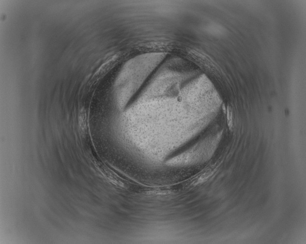 X0000073531107200608211822