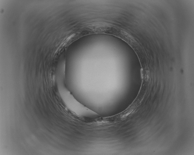 X0000073531108200608211822