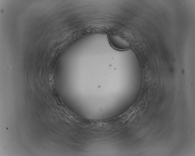 X0000073531109200608211823