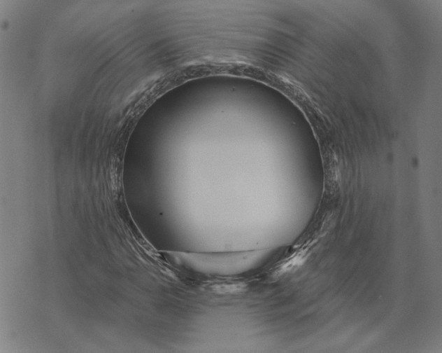 X0000073531110200608211823