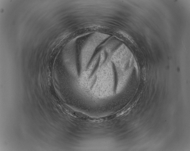 X0000073531111200608211823