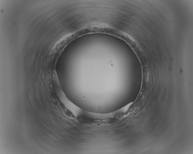 X0000073531112200608211823