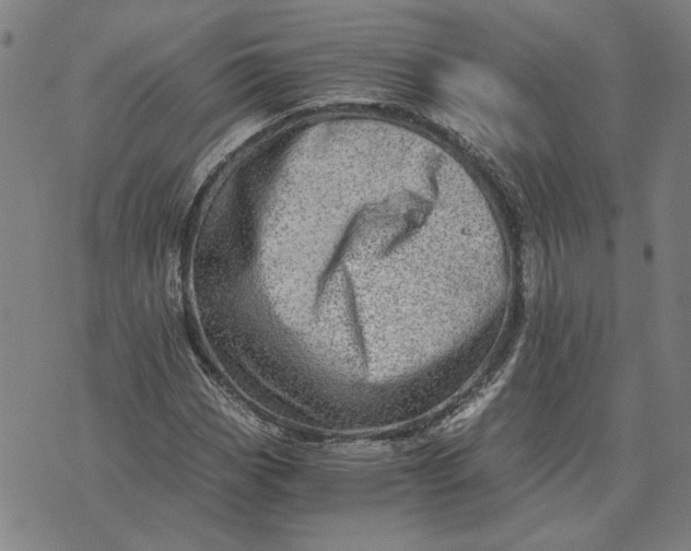 X0000073531113200608211823