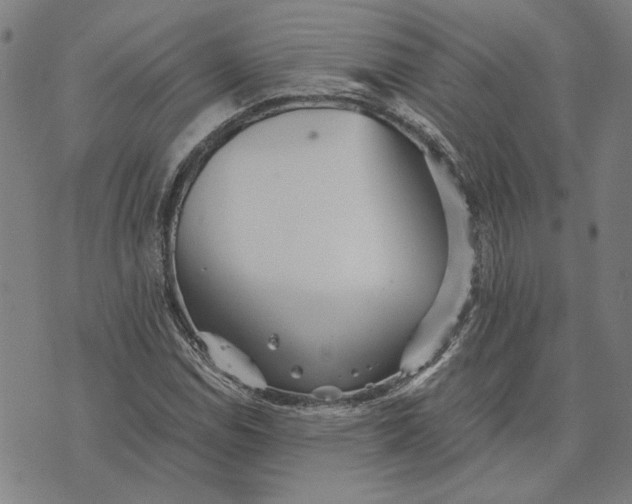 X0000073531114200608211823