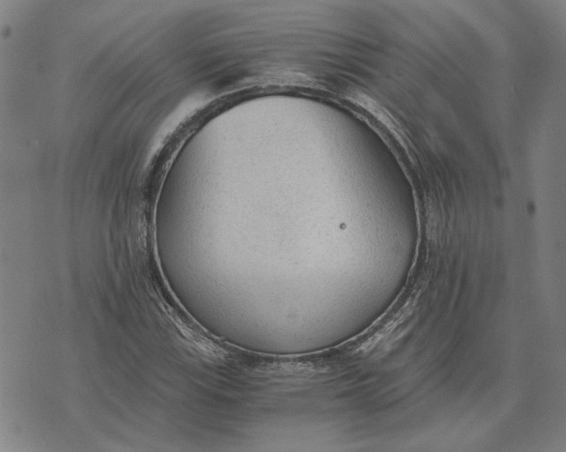 X0000073531115200608211823