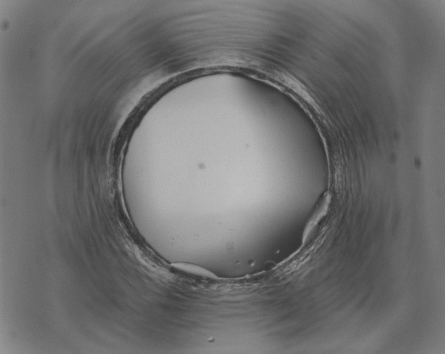 X0000073531116200608211823