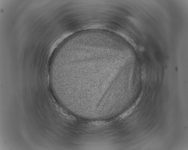 X0000073531117200608211823