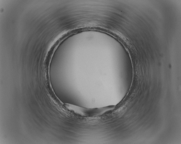 X0000073531118200608211823