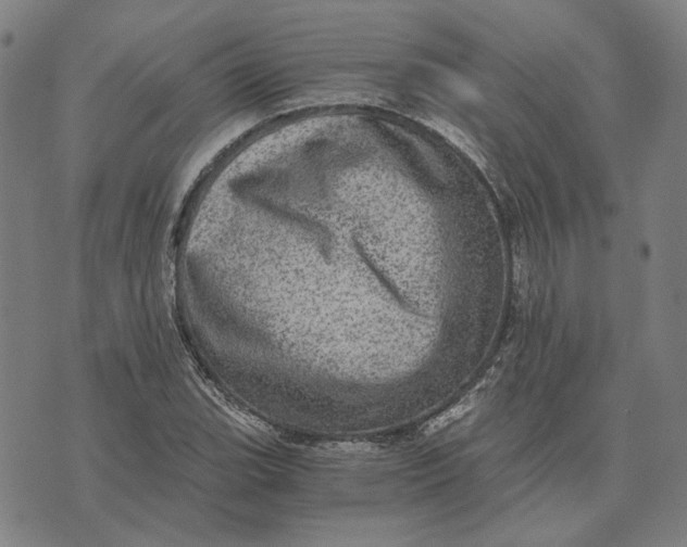 X0000073531119200608211823