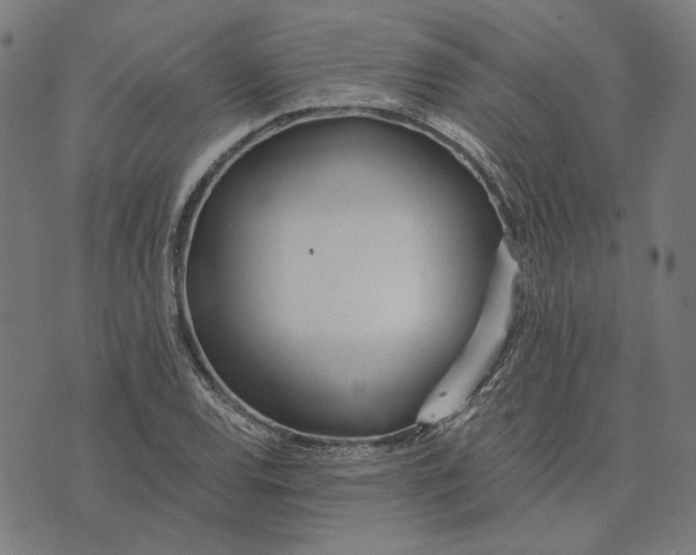 X0000073531120200608211823