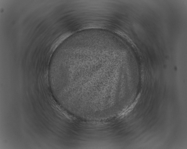 X0000073531121200608211823