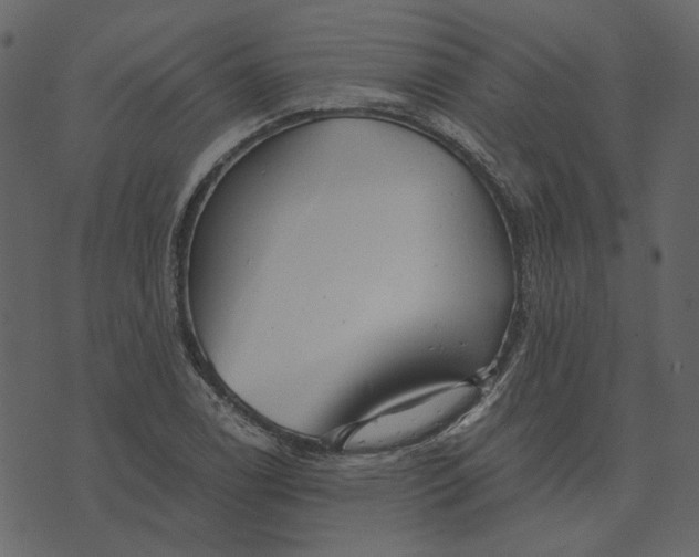 X0000073531122200608211823