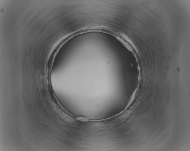 X0000073531124200608211823