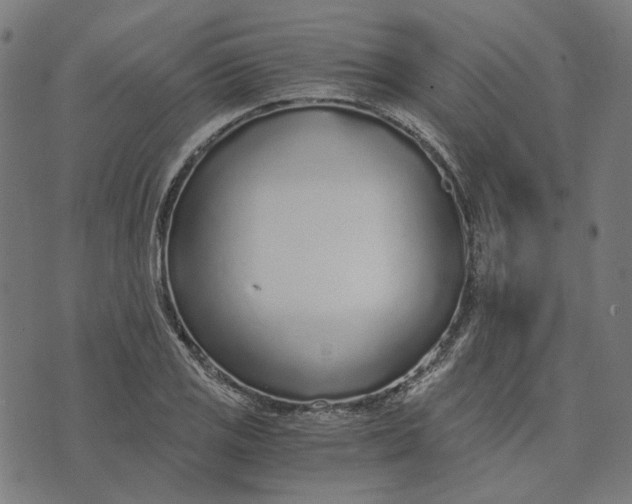 X0000073531125200608211823