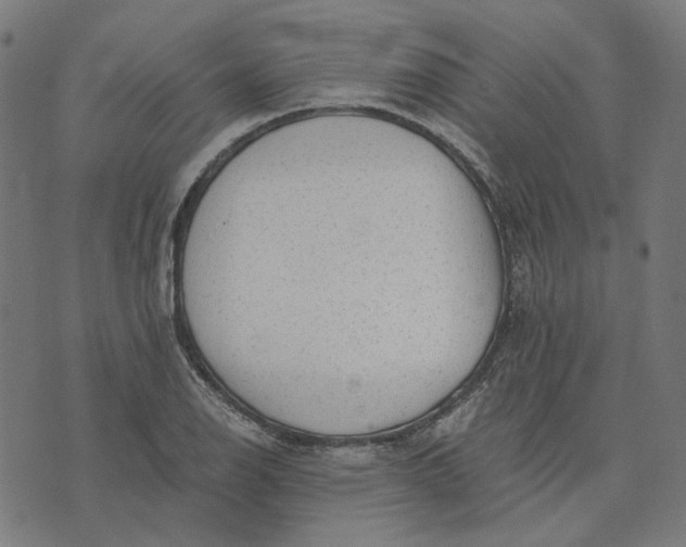 X0000073531126200608211823