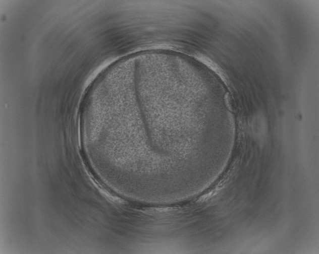 X0000073531127200608211823