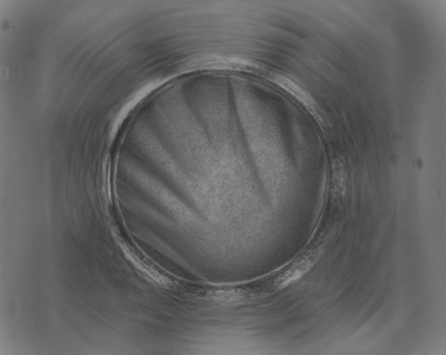 X0000073531128200608211823