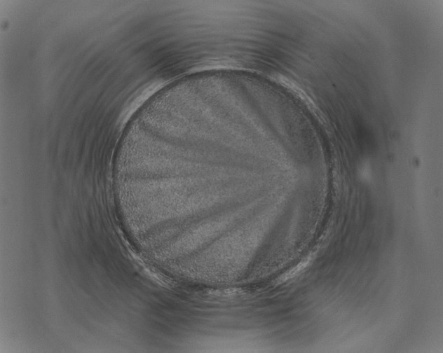 X0000073531129200608211823