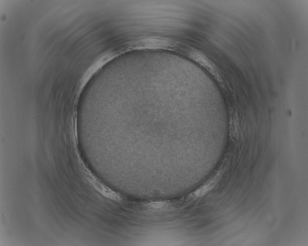 X0000073531130200608211823