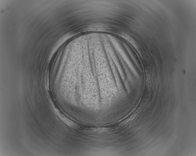 X0000073531131200608211823