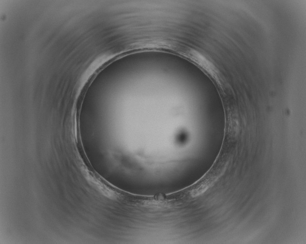 X0000073531132200608211823