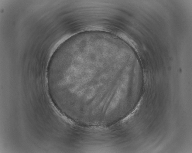 X0000073531133200608211823