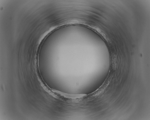 X0000073531134200608211823